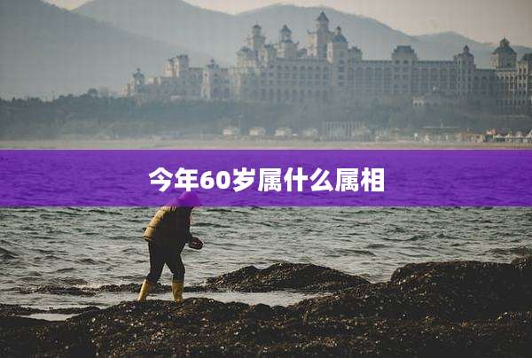 今年60岁属什么属相