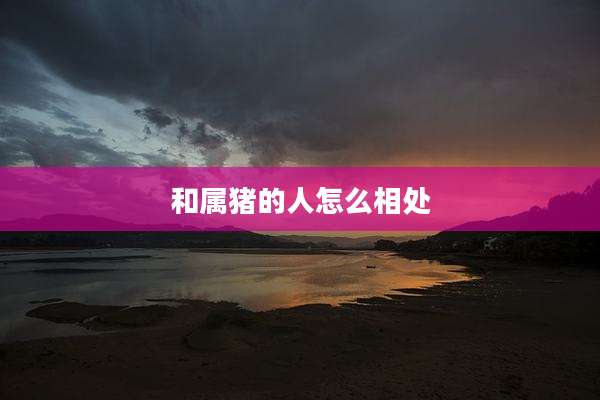 和属猪的人怎么相处