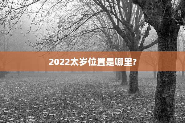 2022太岁位置是哪里?