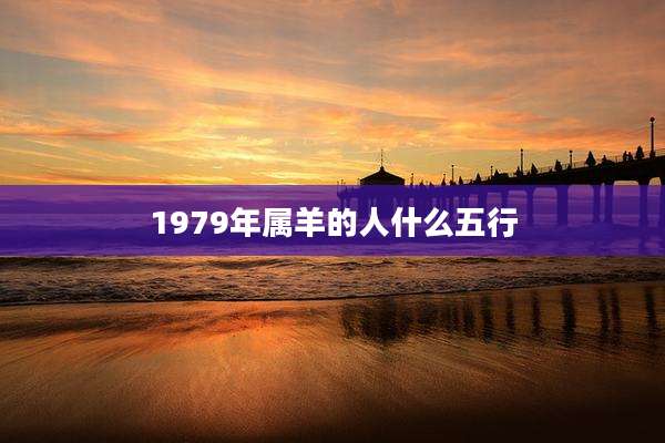 1979年属羊的人什么五行