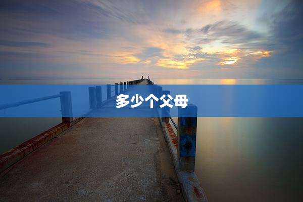 多少个父母