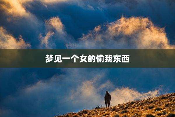 梦见一个女的偷我东西