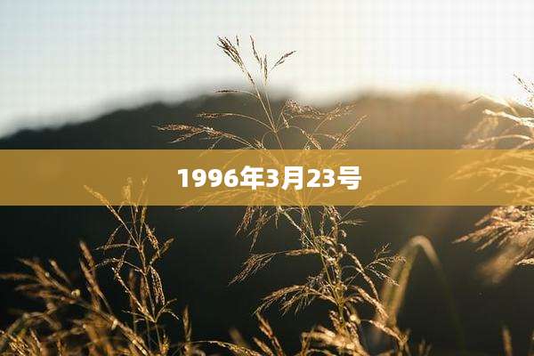 1996年3月23号