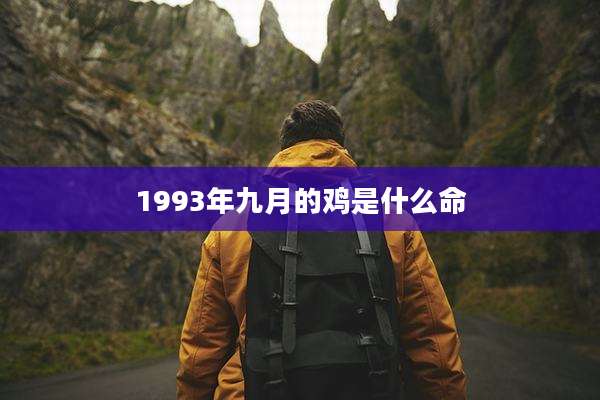 1993年九月的鸡是什么命