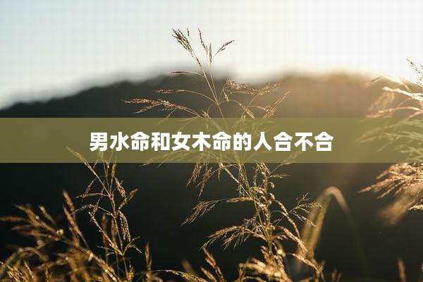 男水命和女木命的人合不合