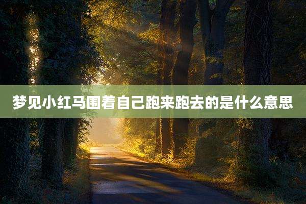 梦见小红马围着自己跑来跑去的是什么意思