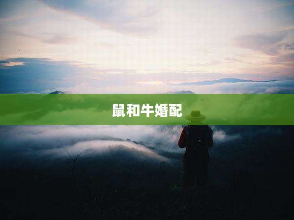 鼠和牛婚配