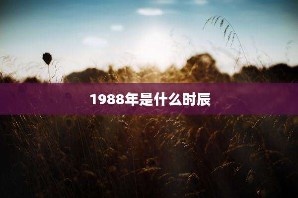 1988年是什么时辰
