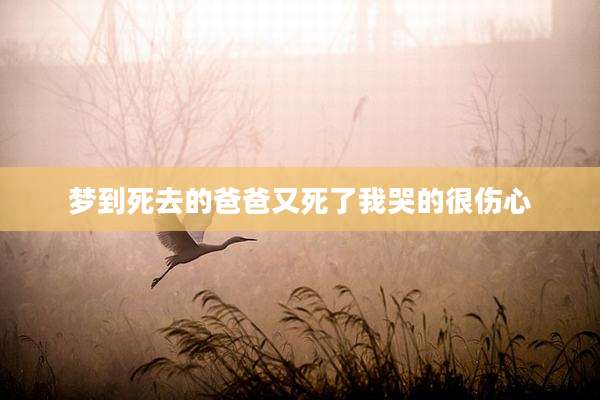 梦到死去的爸爸又死了我哭的很伤心