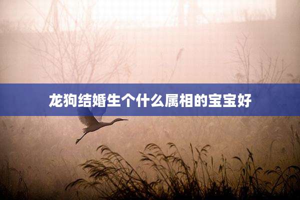 龙狗结婚生个什么属相的宝宝好