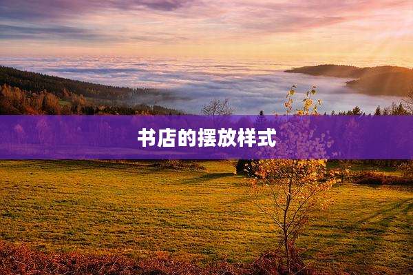 书店的摆放样式