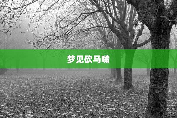 梦见砍马嘴