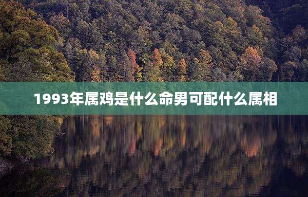1993年属鸡是什么命男可配什么属相