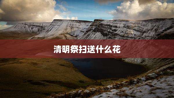 清明祭扫送什么花