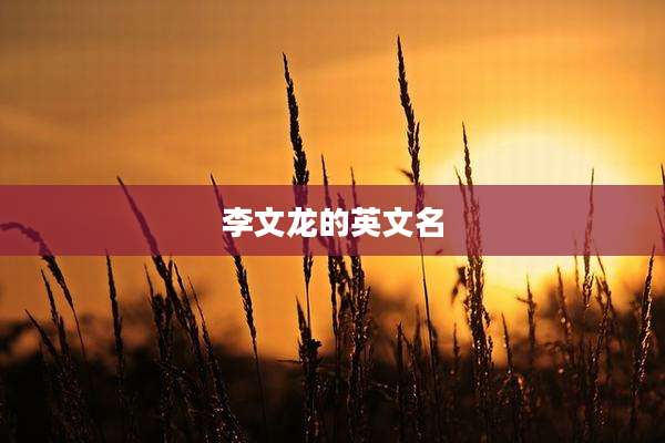 李文龙的英文名