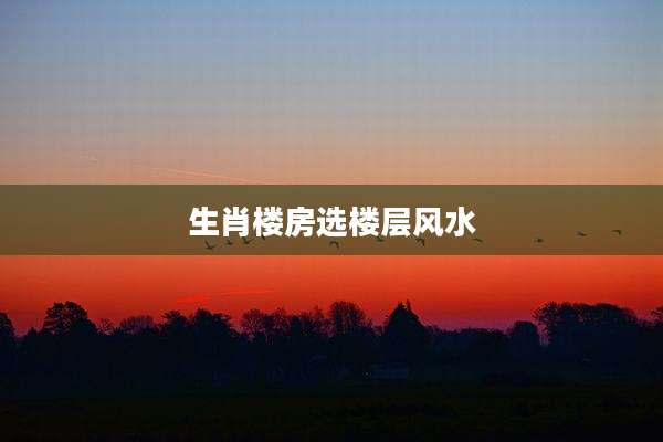 生肖楼房选楼层风水