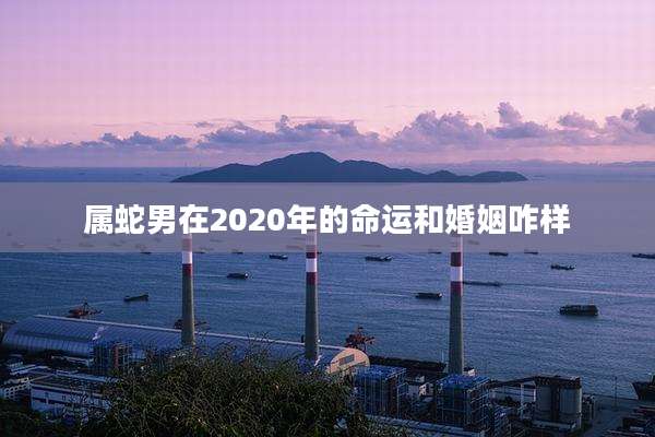 属蛇男在2020年的命运和婚姻咋样