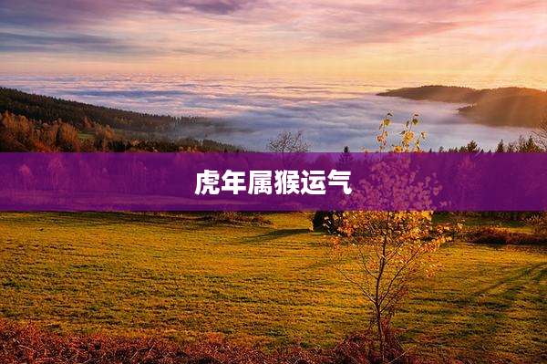 虎年属猴运气