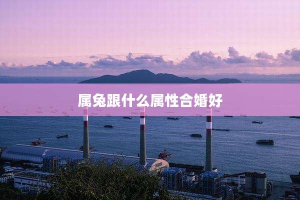 属兔跟什么属性合婚好