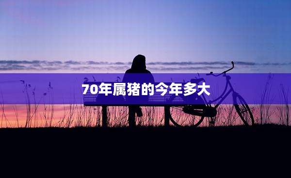 70年属猪的今年多大
