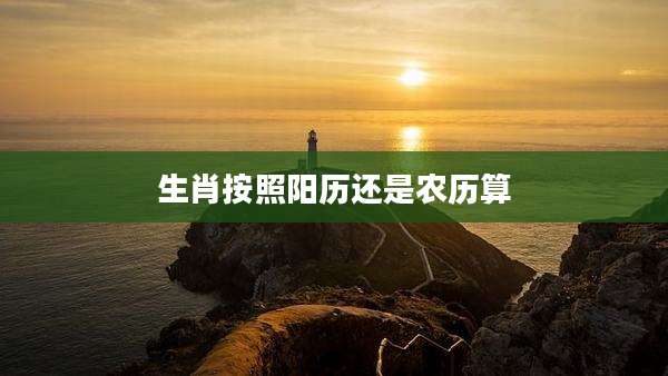 生肖按照阳历还是农历算
