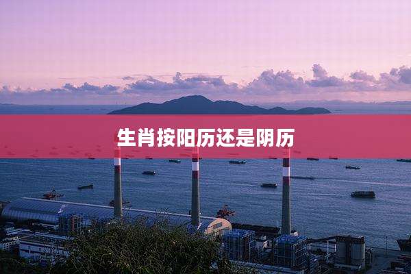 生肖按阳历还是阴历