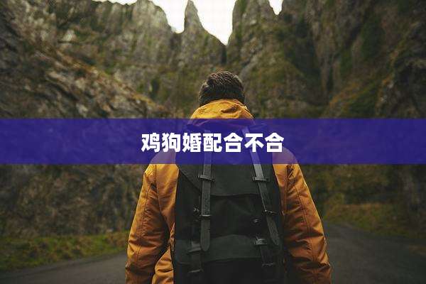 鸡狗婚配合不合