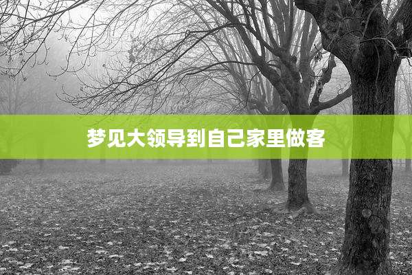 梦见大领导到自己家里做客