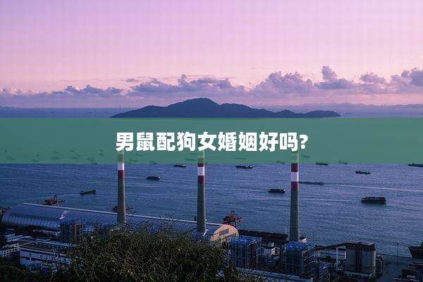 男鼠配狗女婚姻好吗?