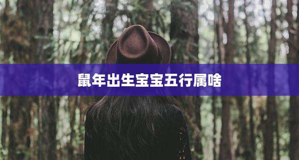 鼠年出生宝宝五行属啥