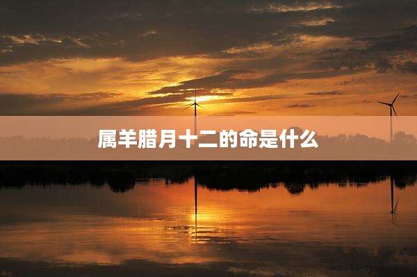 属羊腊月十二的命是什么