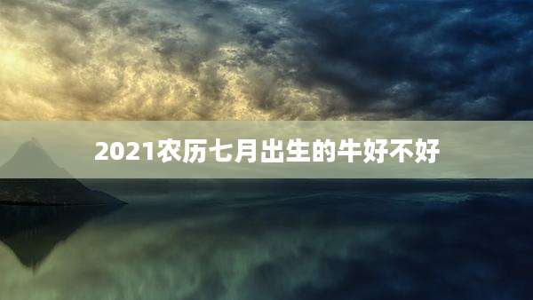 2021农历七月出生的牛好不好
