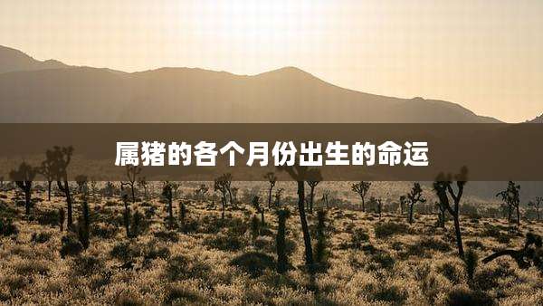 属猪的各个月份出生的命运