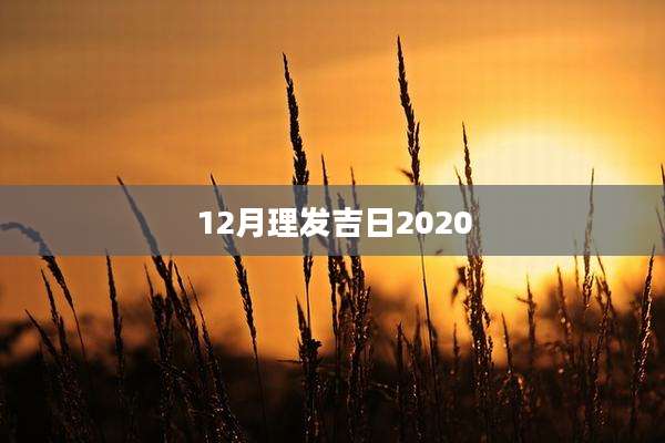 12月理发吉日2020
