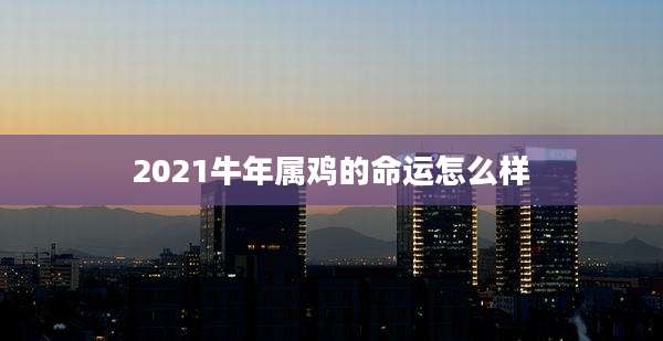 2021牛年属鸡的命运怎么样