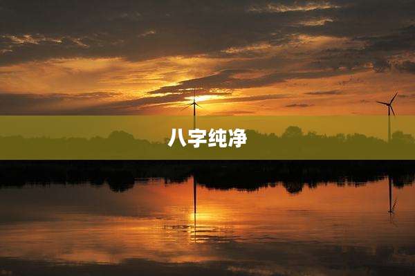 八字纯净