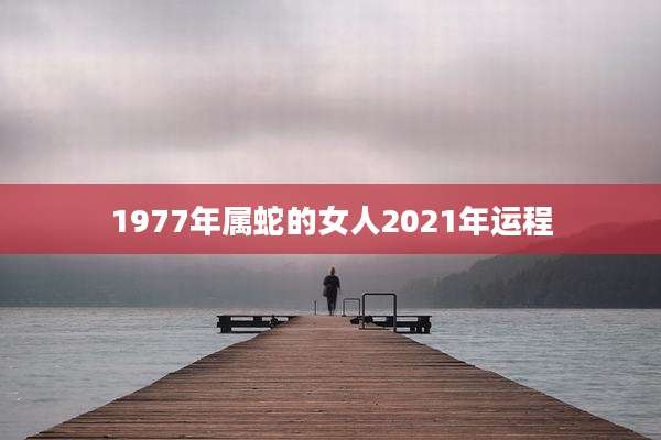 1977年属蛇的女人2021年运程