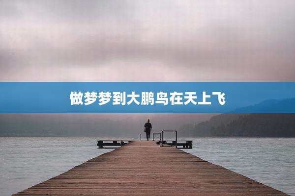 做梦梦到大鹏鸟在天上飞