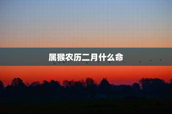 属猴农历二月什么命