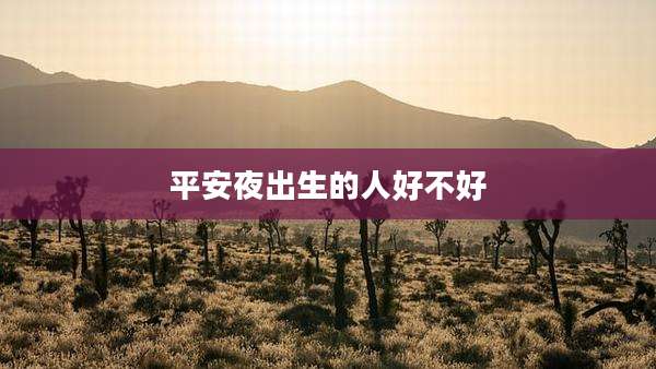平安夜出生的人好不好