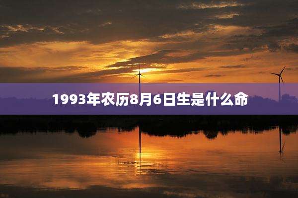 1993年农历8月6日生是什么命
