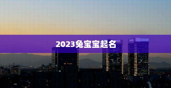 2023兔宝宝起名