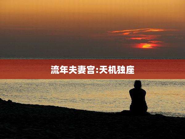 流年夫妻宫:天机独座