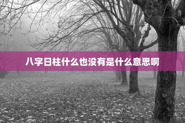八字日柱什么也没有是什么意思啊