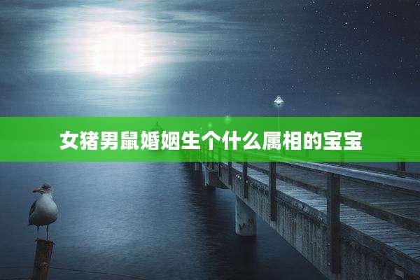 女猪男鼠婚姻生个什么属相的宝宝