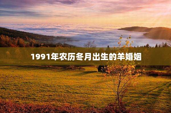 1991年农历冬月出生的羊婚姻