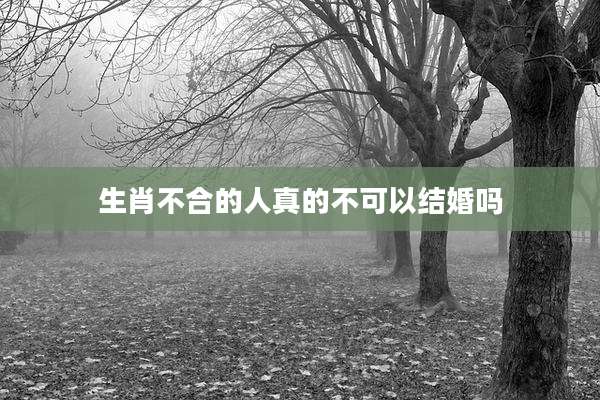 生肖不合的人真的不可以结婚吗