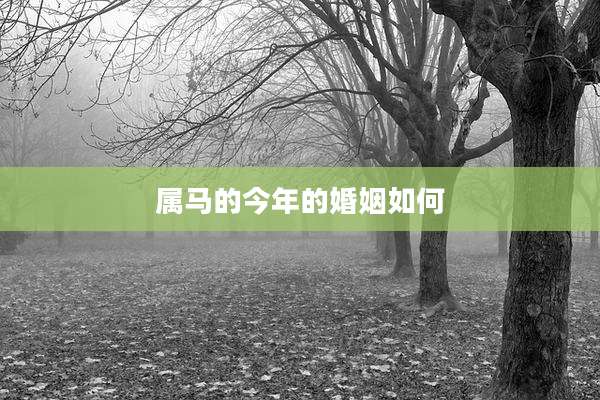 属马的今年的婚姻如何