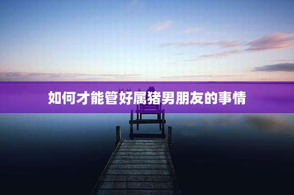 如何才能管好属猪男朋友的事情