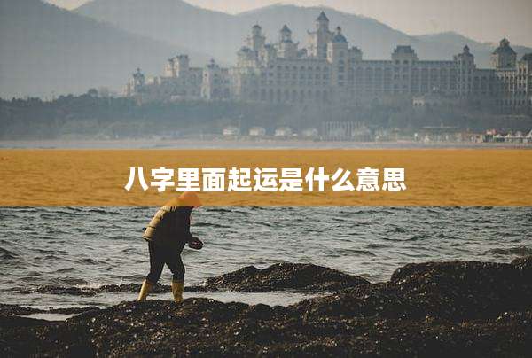 八字里面起运是什么意思